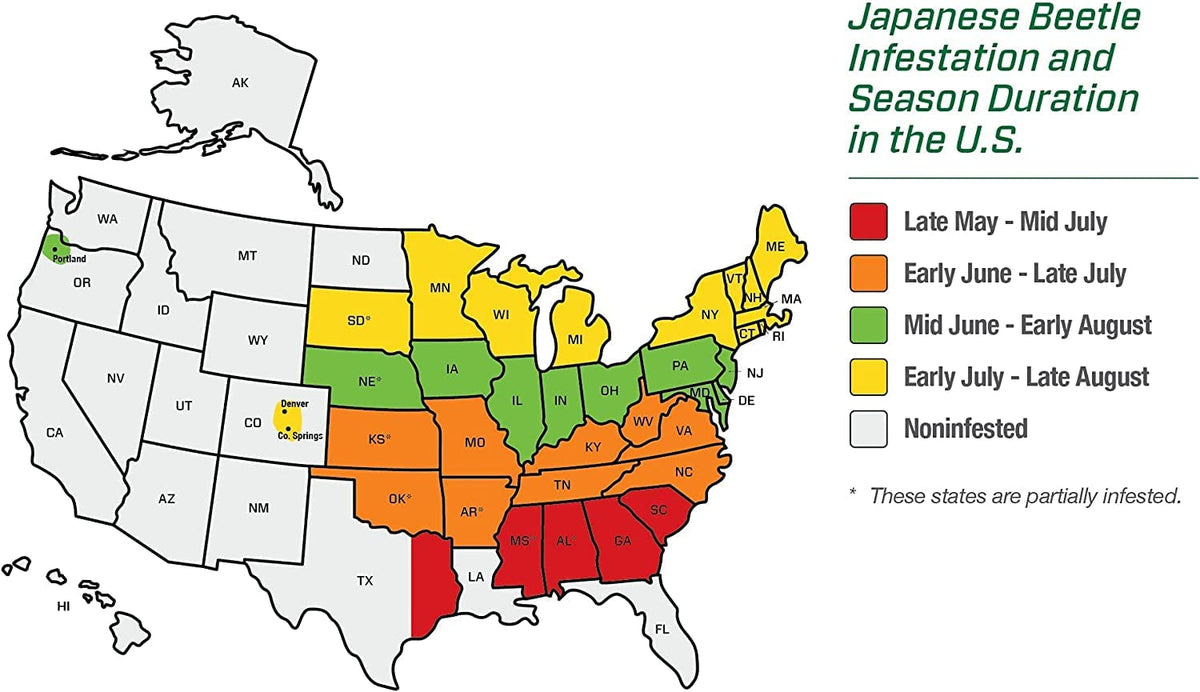 Japanese Beetle Trap P87271