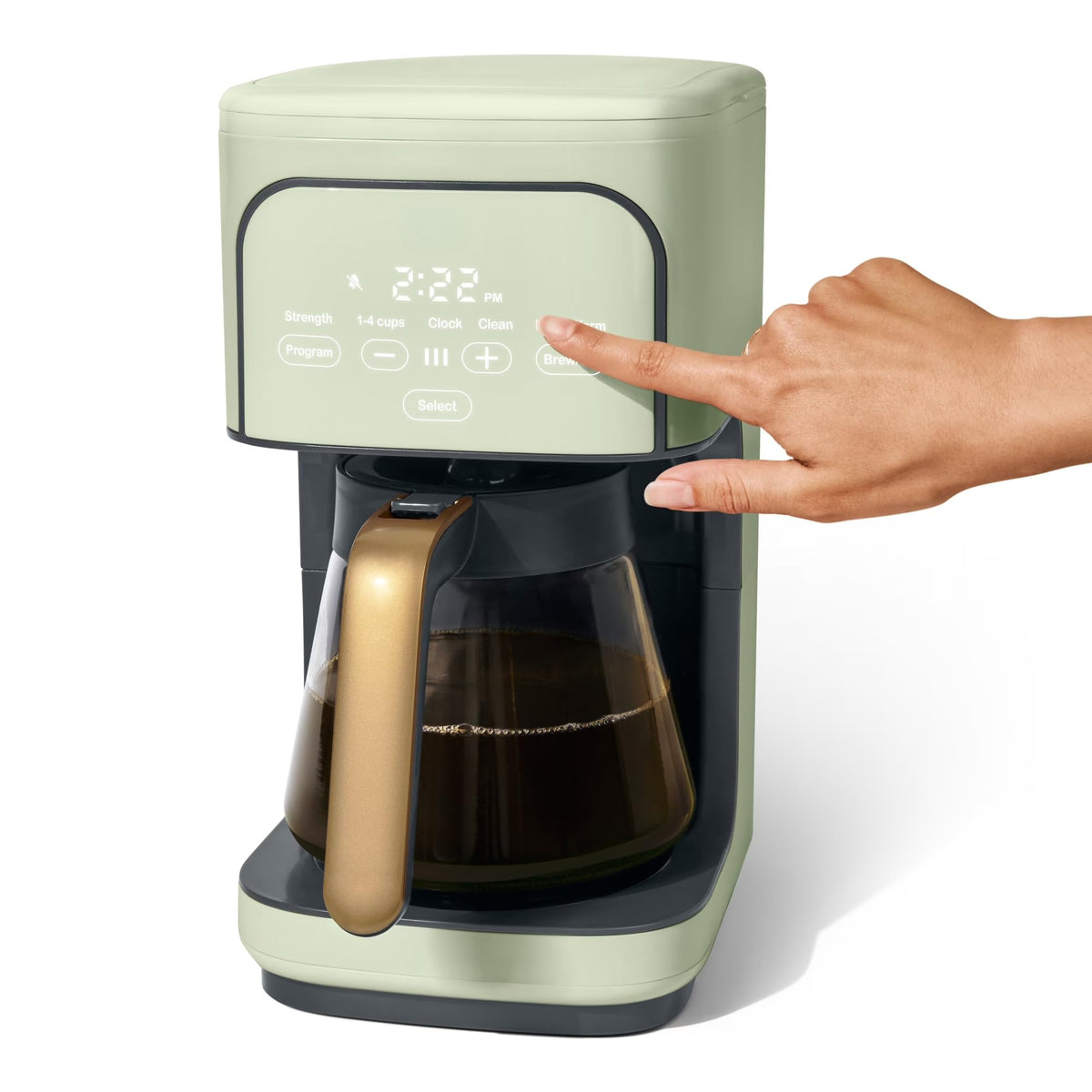 Sage Green 12-Cup Programmable Drip Coffee Maker Q183306