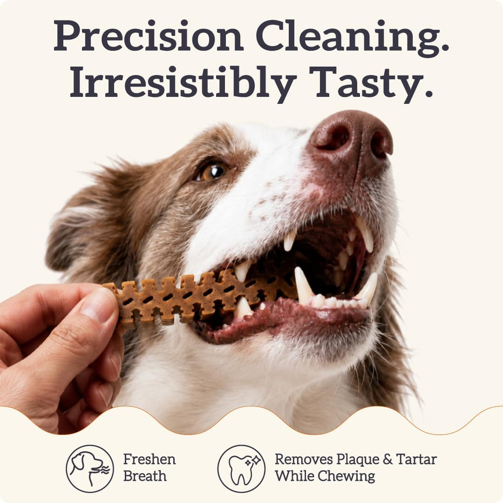Small Flexible Dog Dental Chews 22Ct Z24310