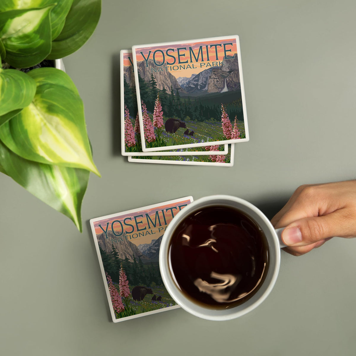 Yosemite National Park Ceramic Coasters Set of 4 N832233