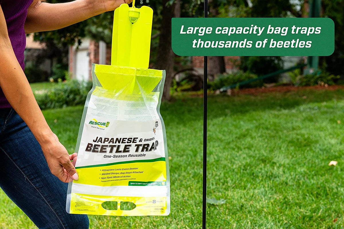 Japanese Beetle Trap P87271