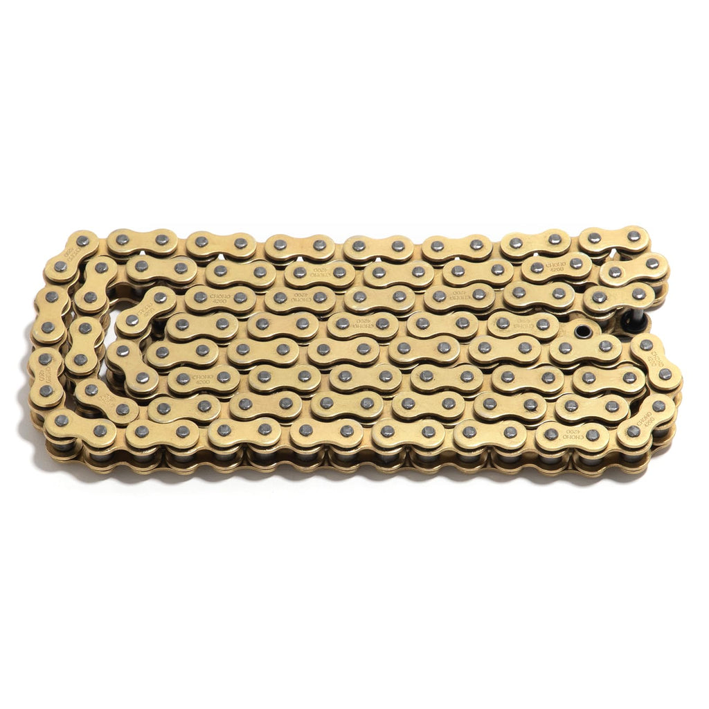 120 Link Chain 420 D Y2478