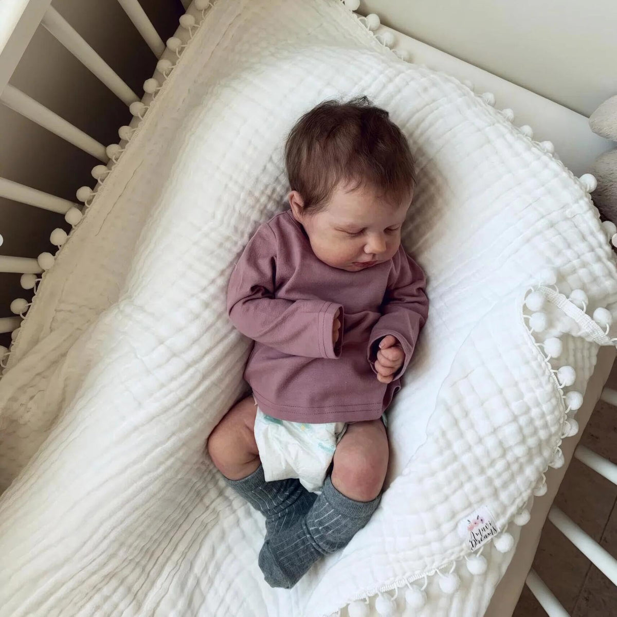 20 Inch Realistic Silicone Reborn Baby Doll Boy with Rooted Hair A7579
