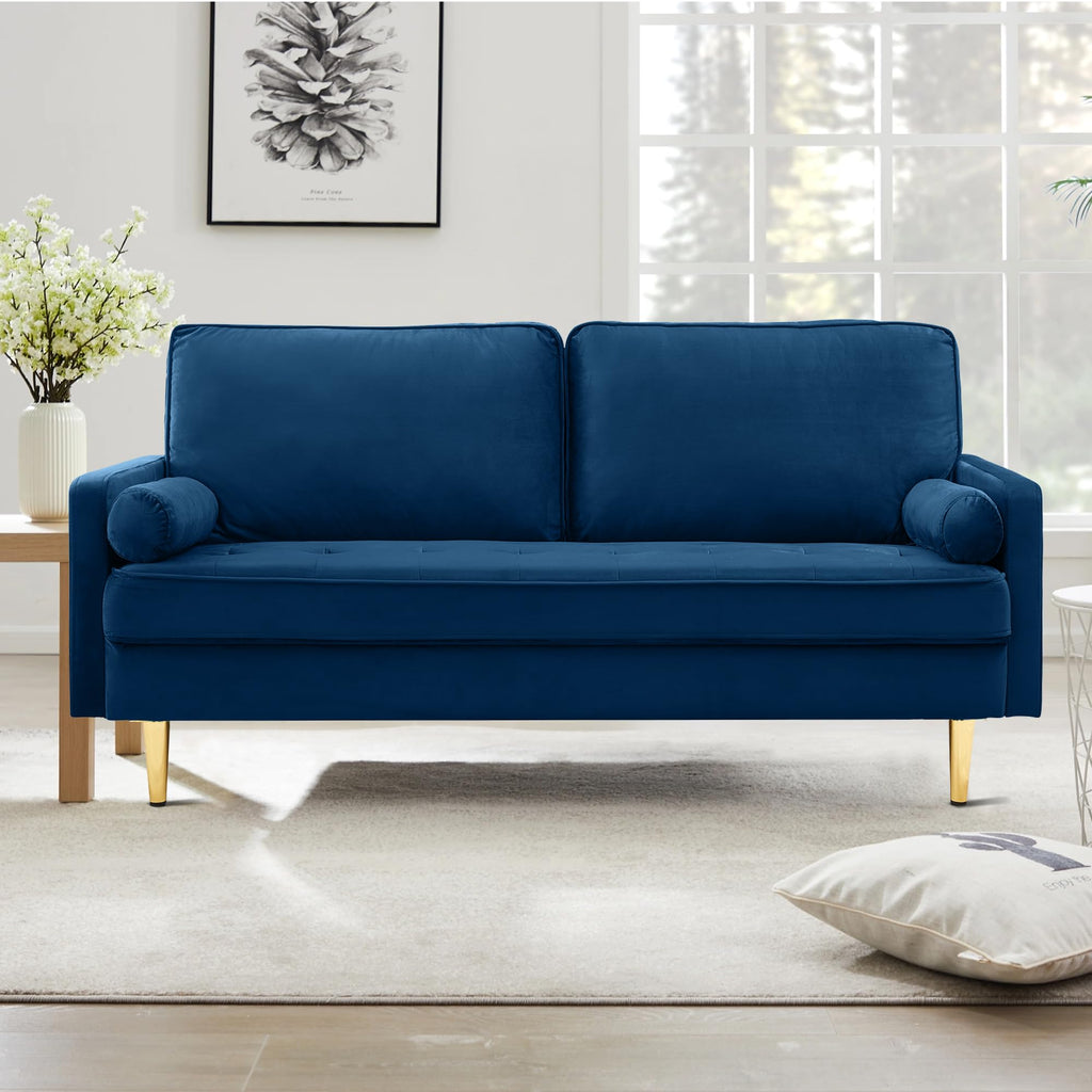 67" Velvet Tufted 2-Seater Sofa V8544
