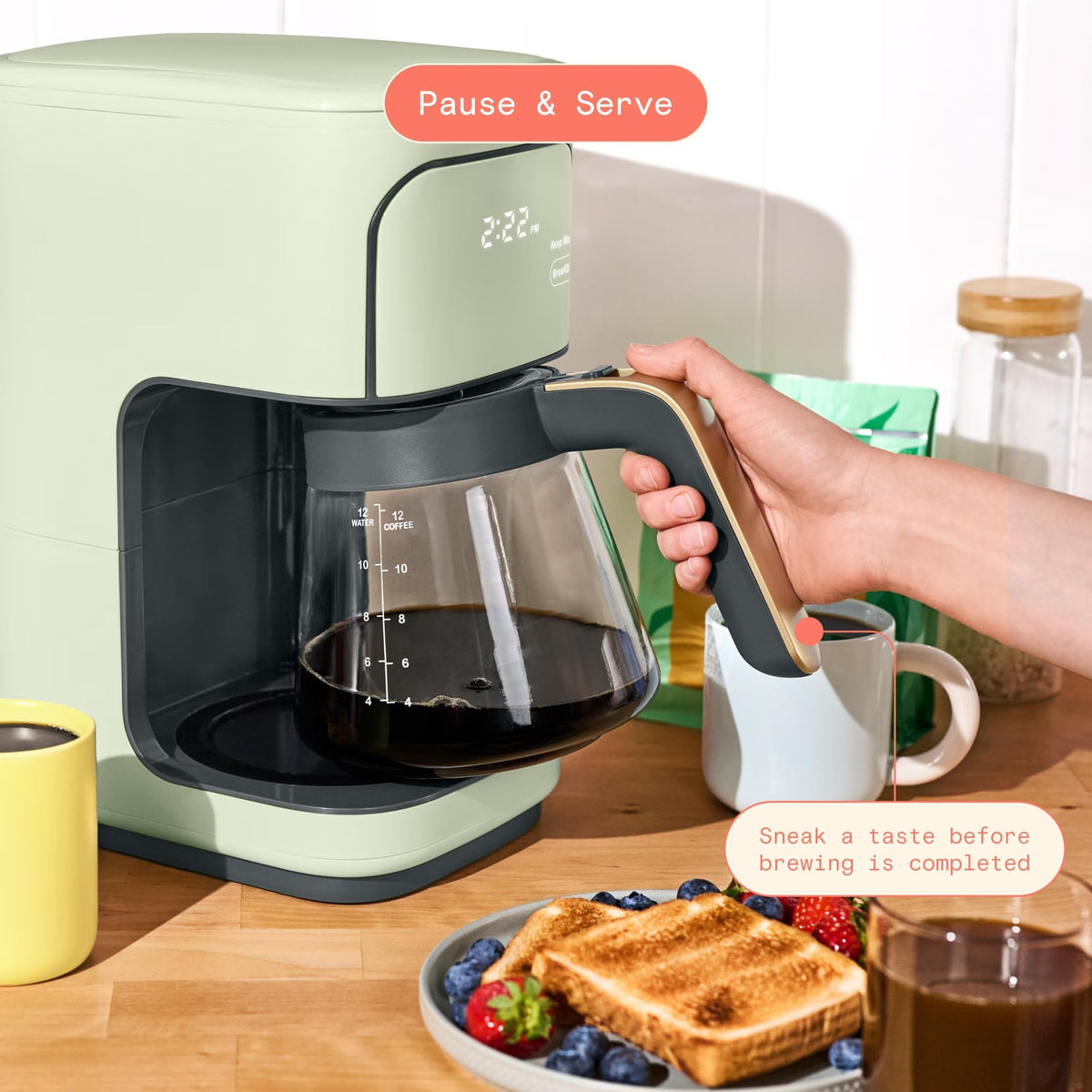 Sage Green 12-Cup Programmable Drip Coffee Maker Q183306