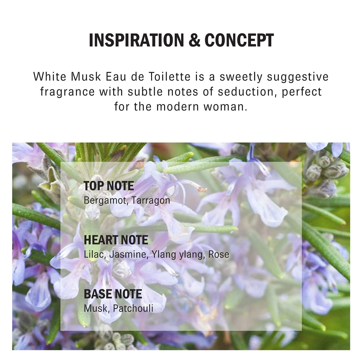 White Musk 1.7 oz EDT Spray N21364