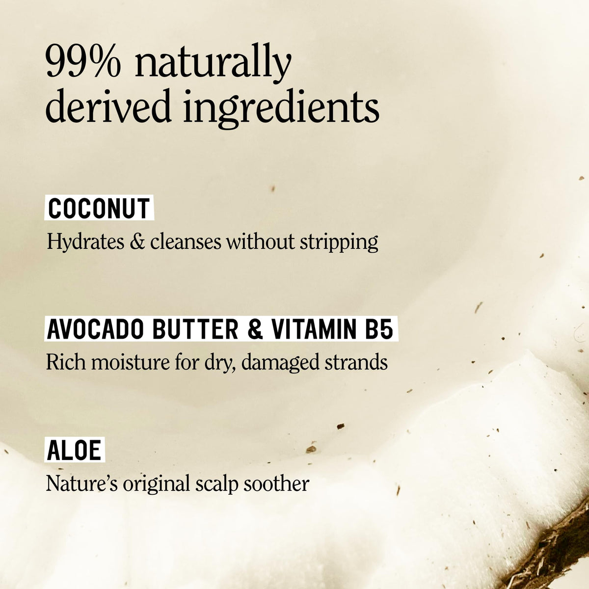Toasted Coconut Shampoo Conditioner Set, Vegan, Sulfate Free, 20 Fl Oz Q58393