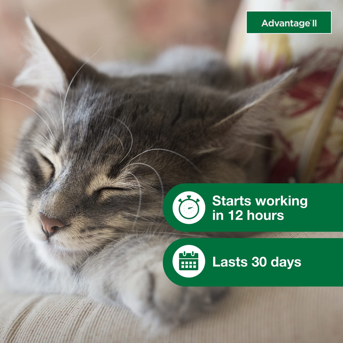 Advantage II Small Cat Topical Flea Treatment & Prevention, 2ct W78570
