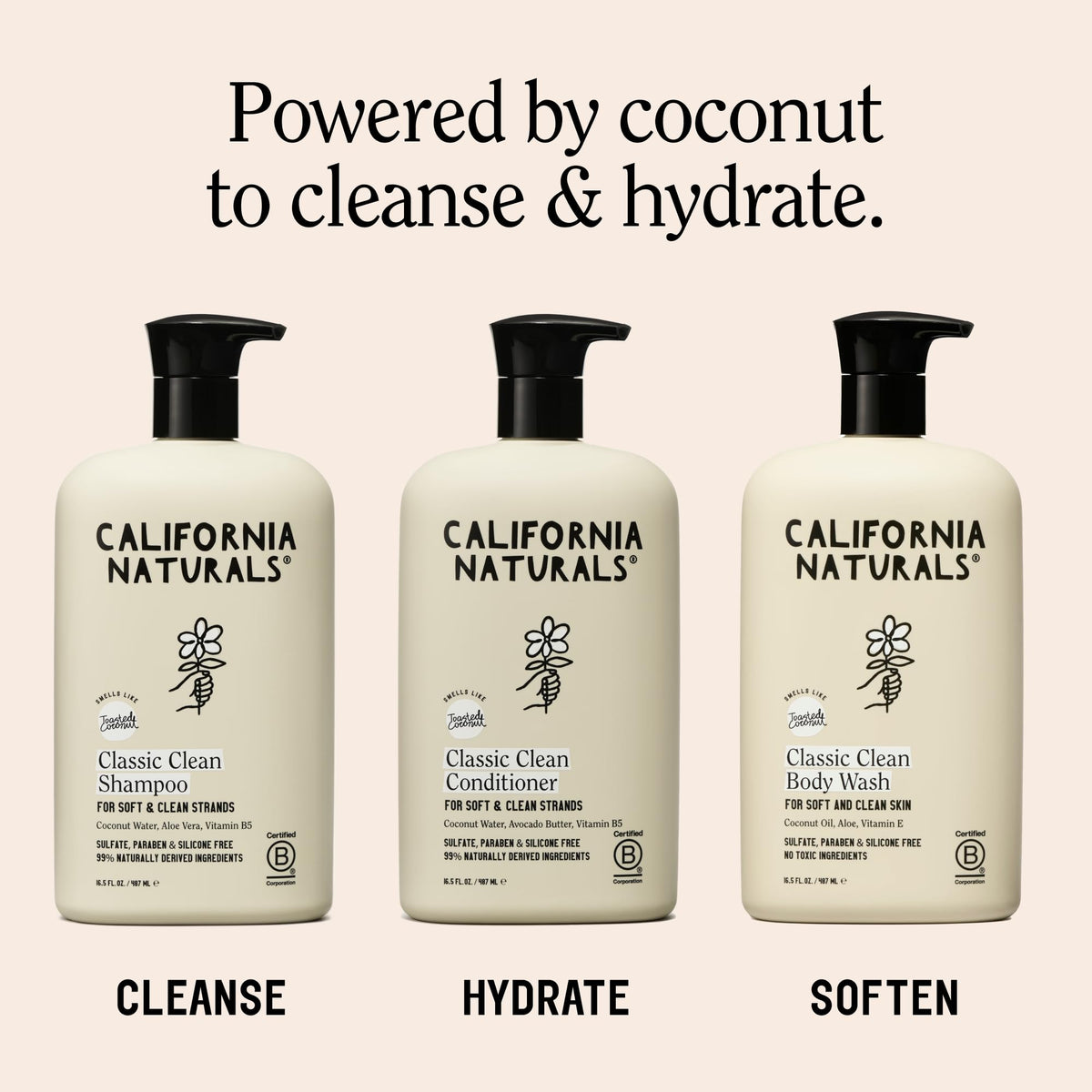 Toasted Coconut Shampoo Conditioner Set, Vegan, Sulfate Free, 20 Fl Oz Q58393
