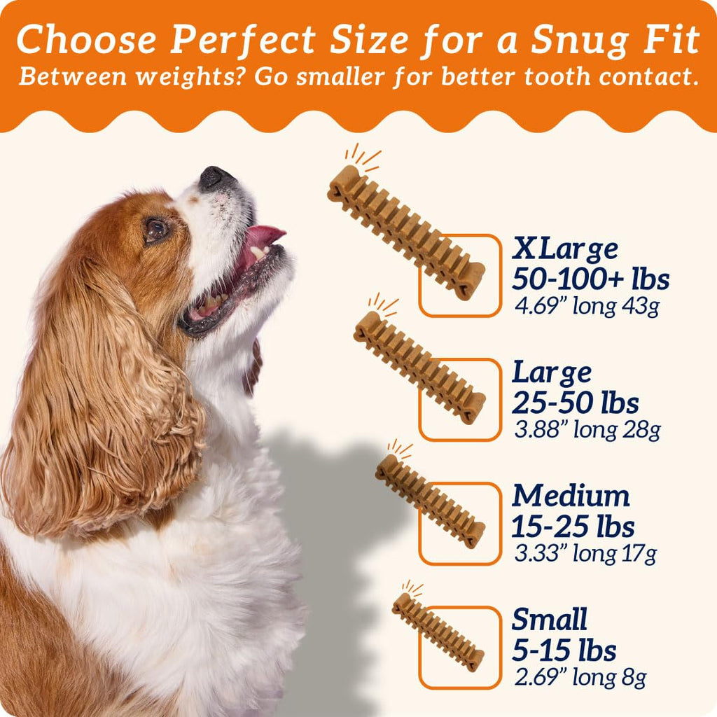 Small Flexible Dog Dental Chews 22Ct Z24310