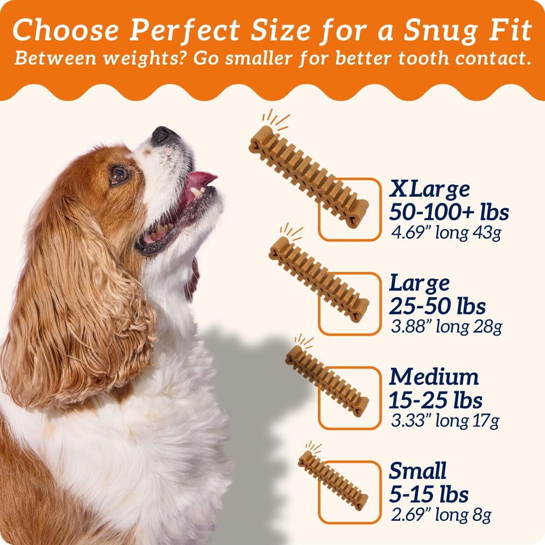 Small Flexible Dog Dental Chews 22Ct Z24310