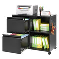 Black 2-Drawer Mobile File Cabinet with Lock D40589