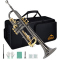 Bb Trumpet Set with Carrying Case, Gloves, 7C Mouthpiece, Tuning Rod, Black Nickel M381