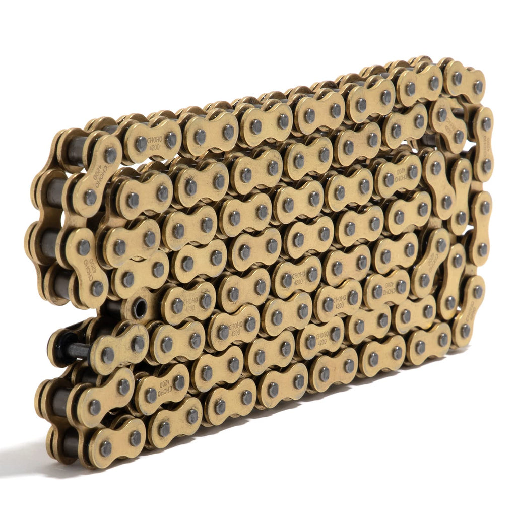 120 Link Chain 420 D Y2478