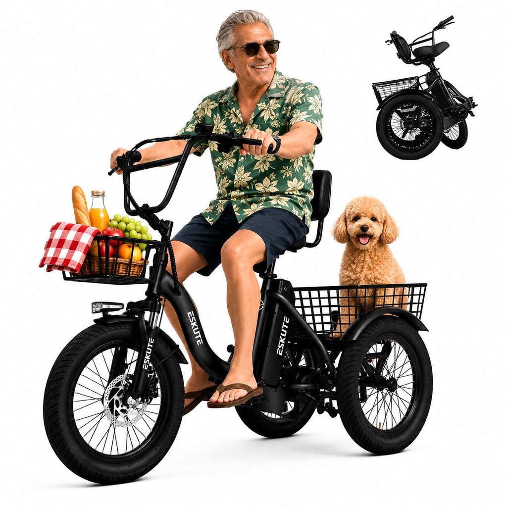 Electric Tricycle Bike 1200W Folding 3 Wheel Bicycle C517