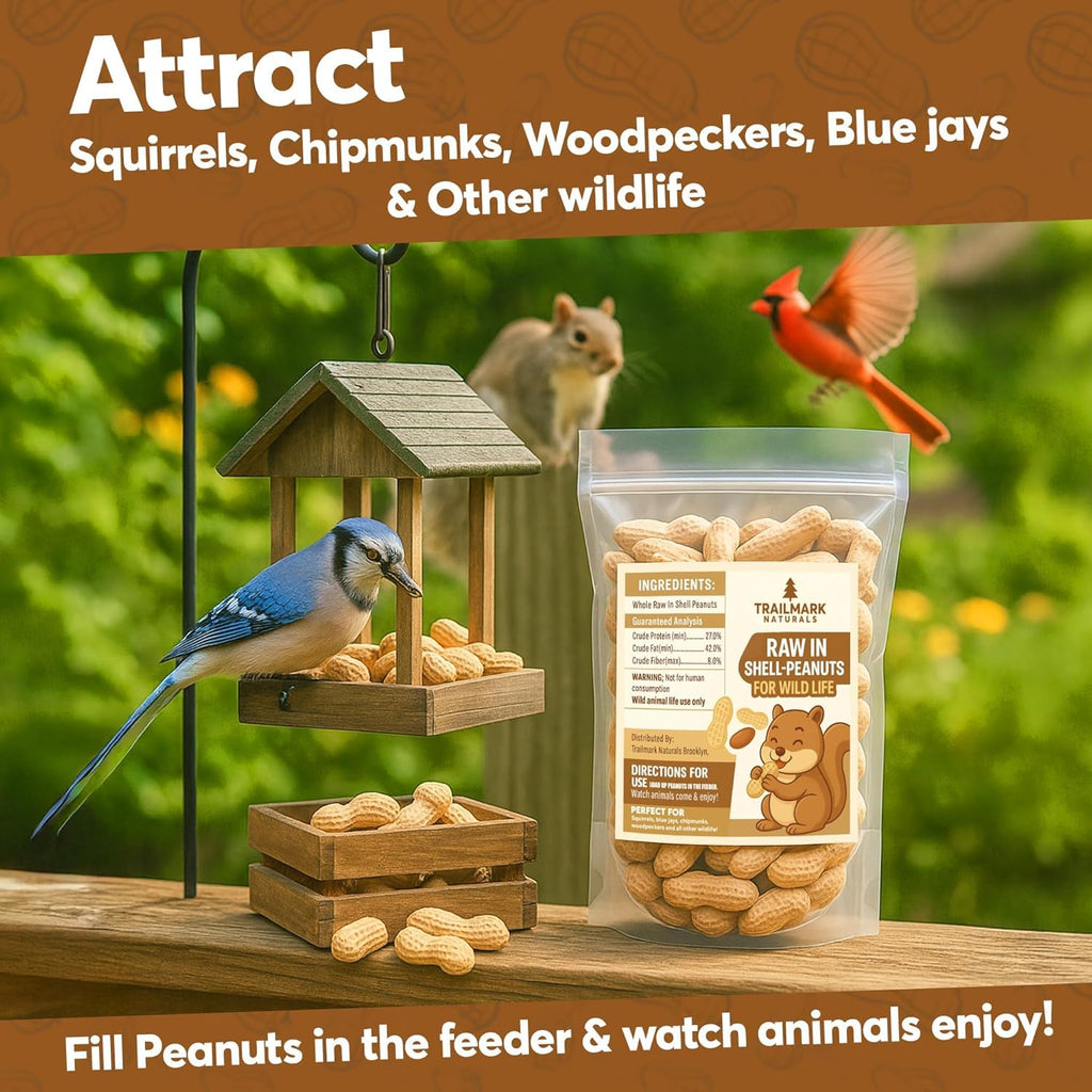 Raw Peanuts for Squirrels and Birds, 5 Pounds Total U45353