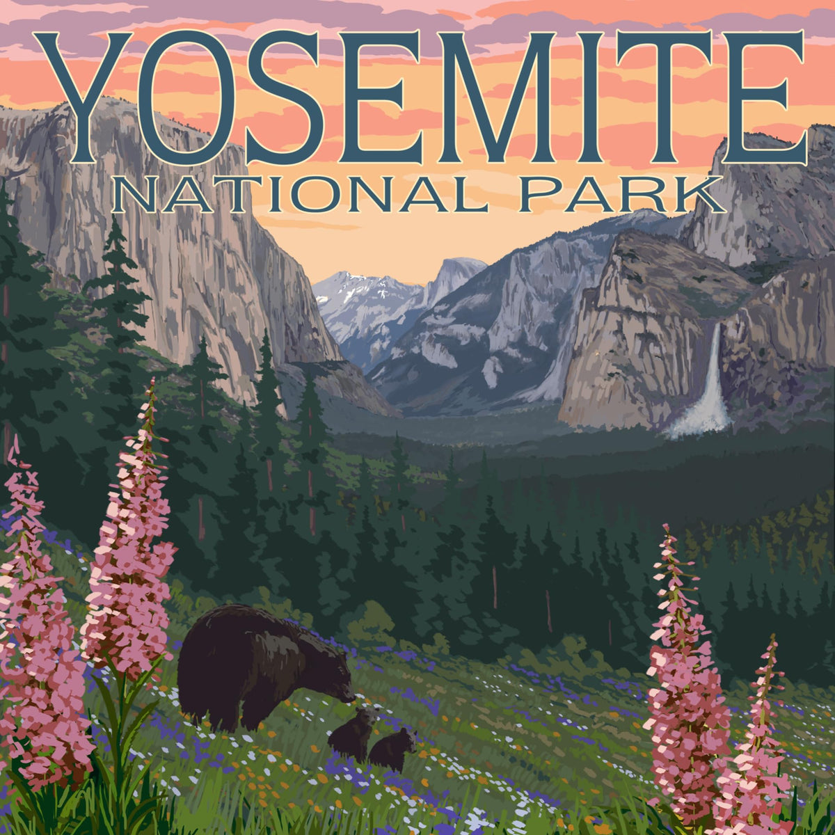Yosemite National Park Ceramic Coasters Set of 4 N832233