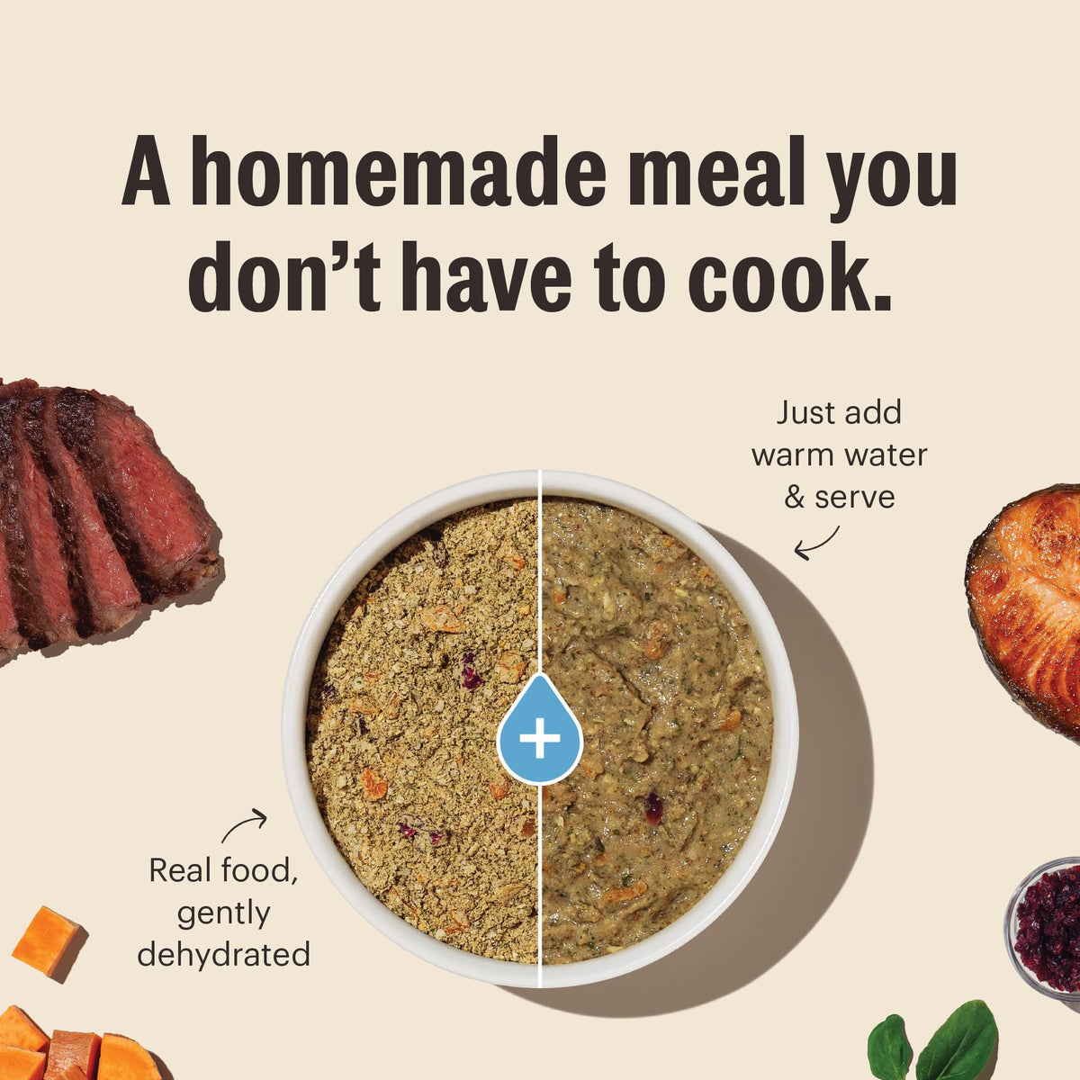 Whole Grain Chicken Recipe Dehydrated Dog Food 10 lb K44684
