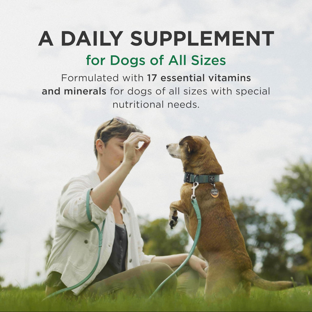 Multivitamin Supplement for Dogs 60 Chewables J53966