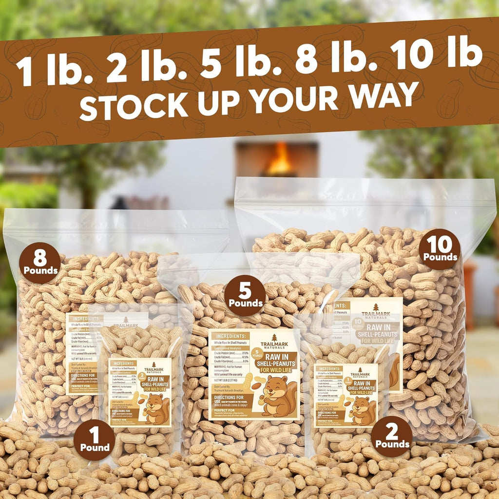 Raw Peanuts for Squirrels and Birds, 5 Pounds Total U45353