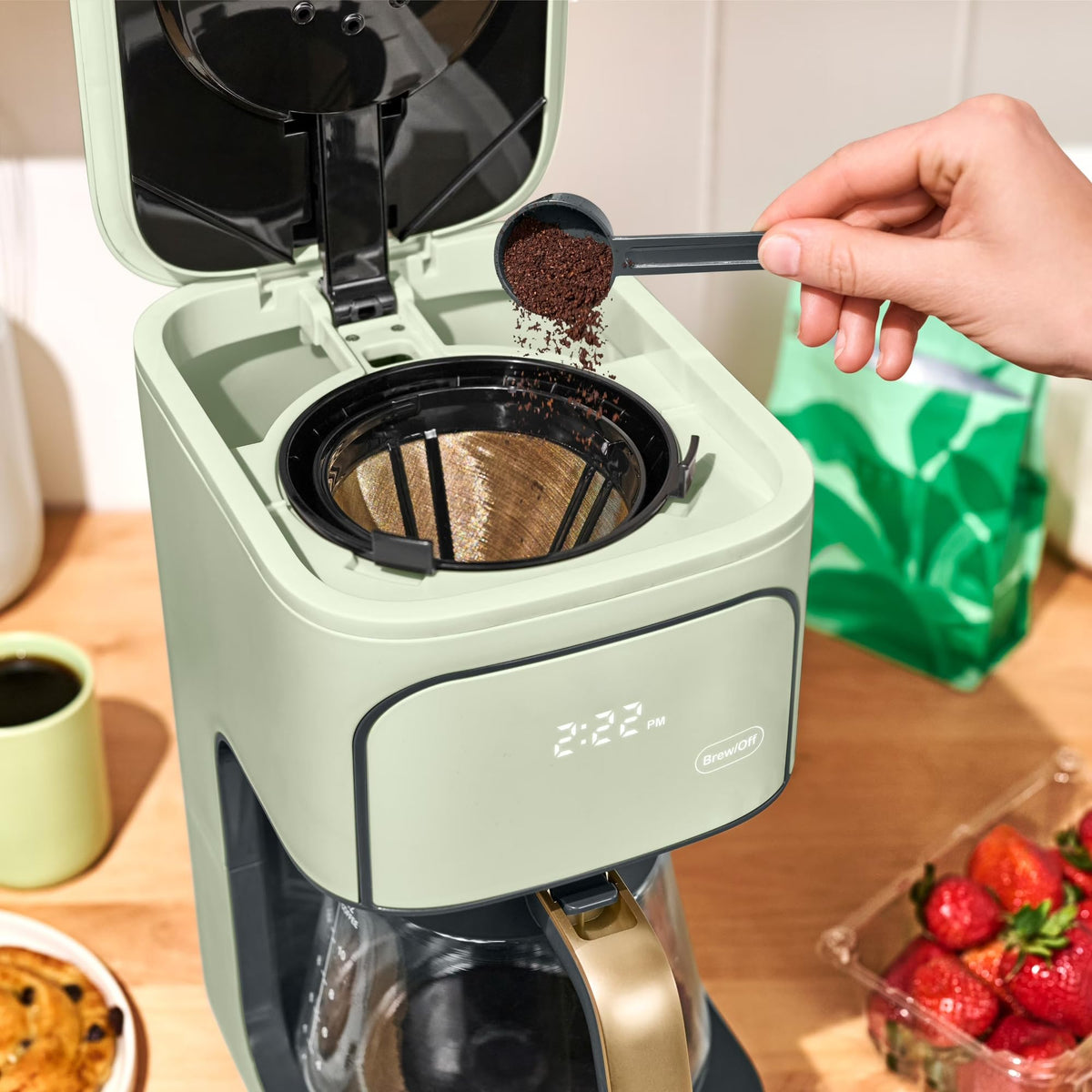 Sage Green 12-Cup Programmable Drip Coffee Maker Q183306