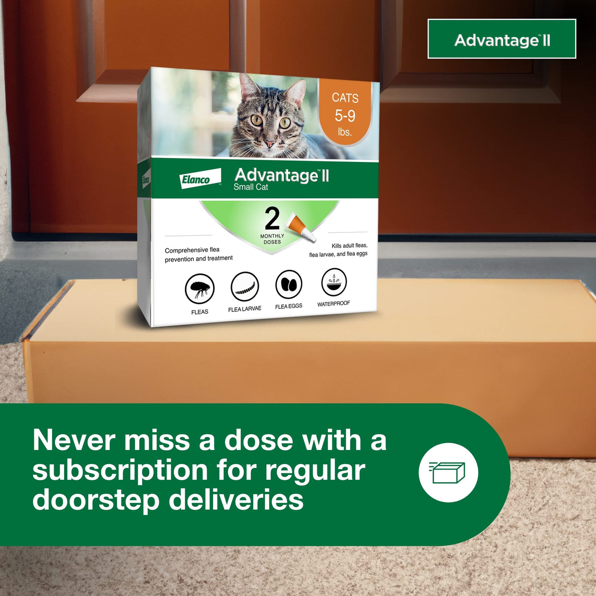 Advantage II Small Cat Topical Flea Treatment & Prevention, 2ct W78570