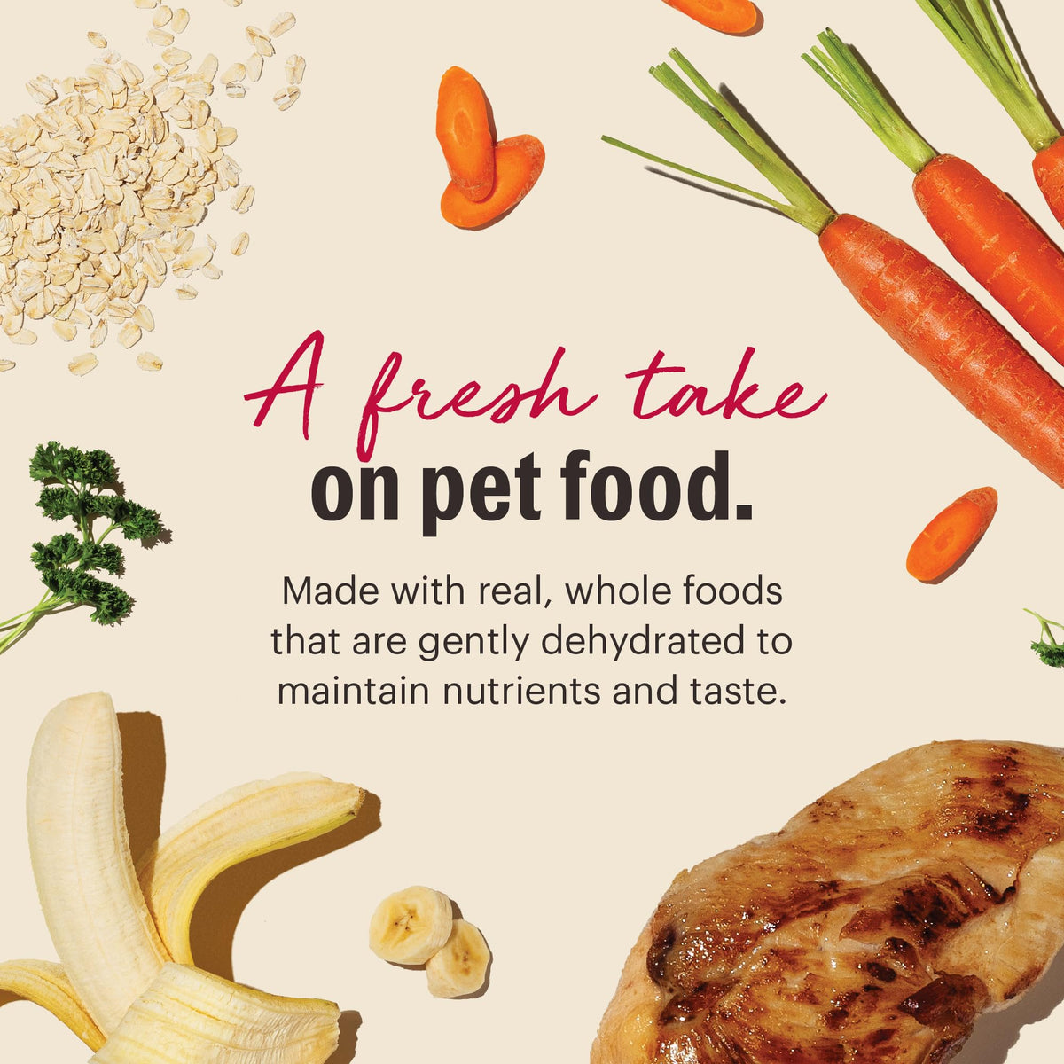 Whole Grain Chicken Recipe Dehydrated Dog Food 10 lb K44684