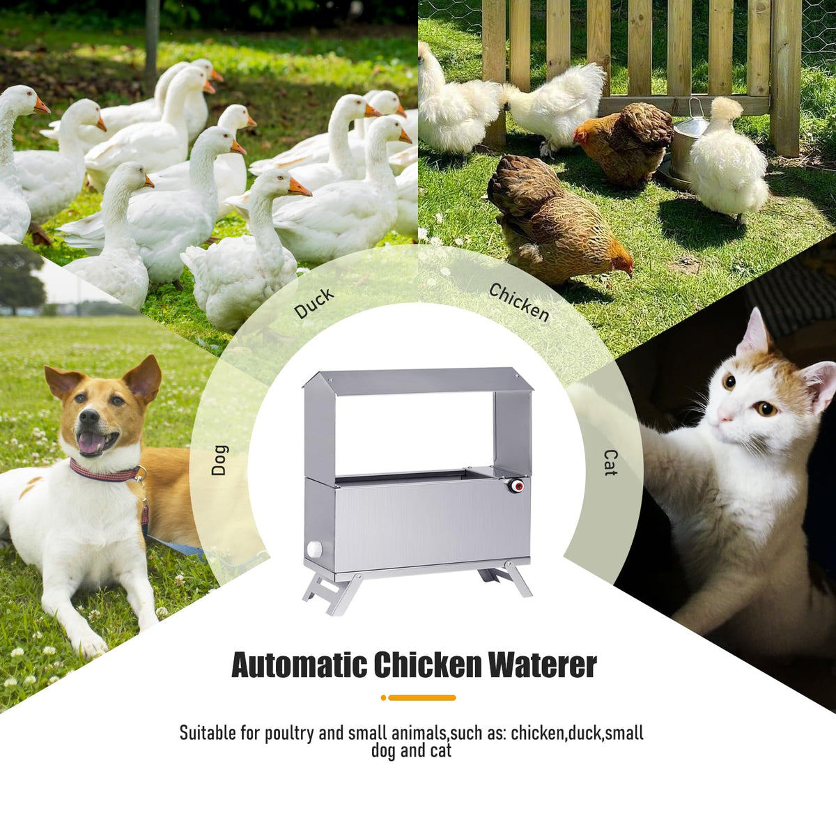 Stainless Steel Automatic Chicken Waterer E719