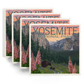 Yosemite National Park Ceramic Coasters Set of 4 N832233