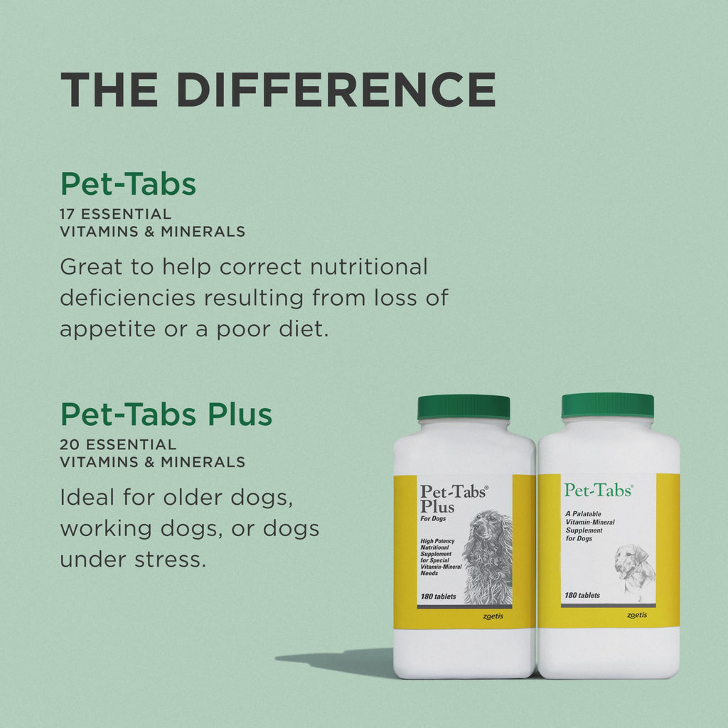 Multivitamin Supplement for Dogs 60 Chewables J53966