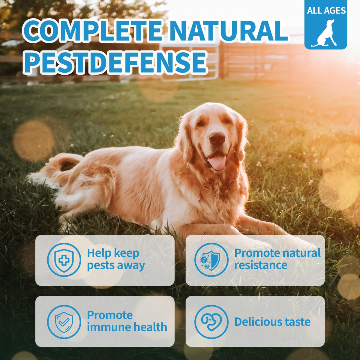 Flea and Tick Chewables 200Ct G633