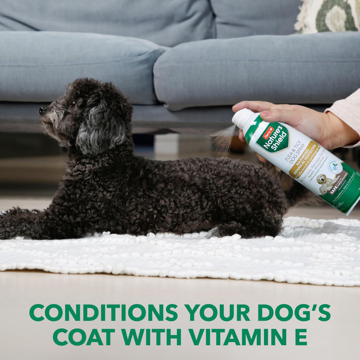 Flea & Tick Spray Treatment for Dogs with Cedarwood and Lemongrass Oil, 14 Ounces I863568