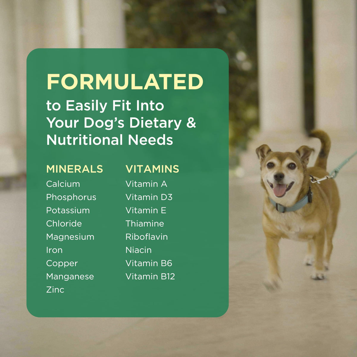 Multivitamin Supplement for Dogs 60 Chewables J53966