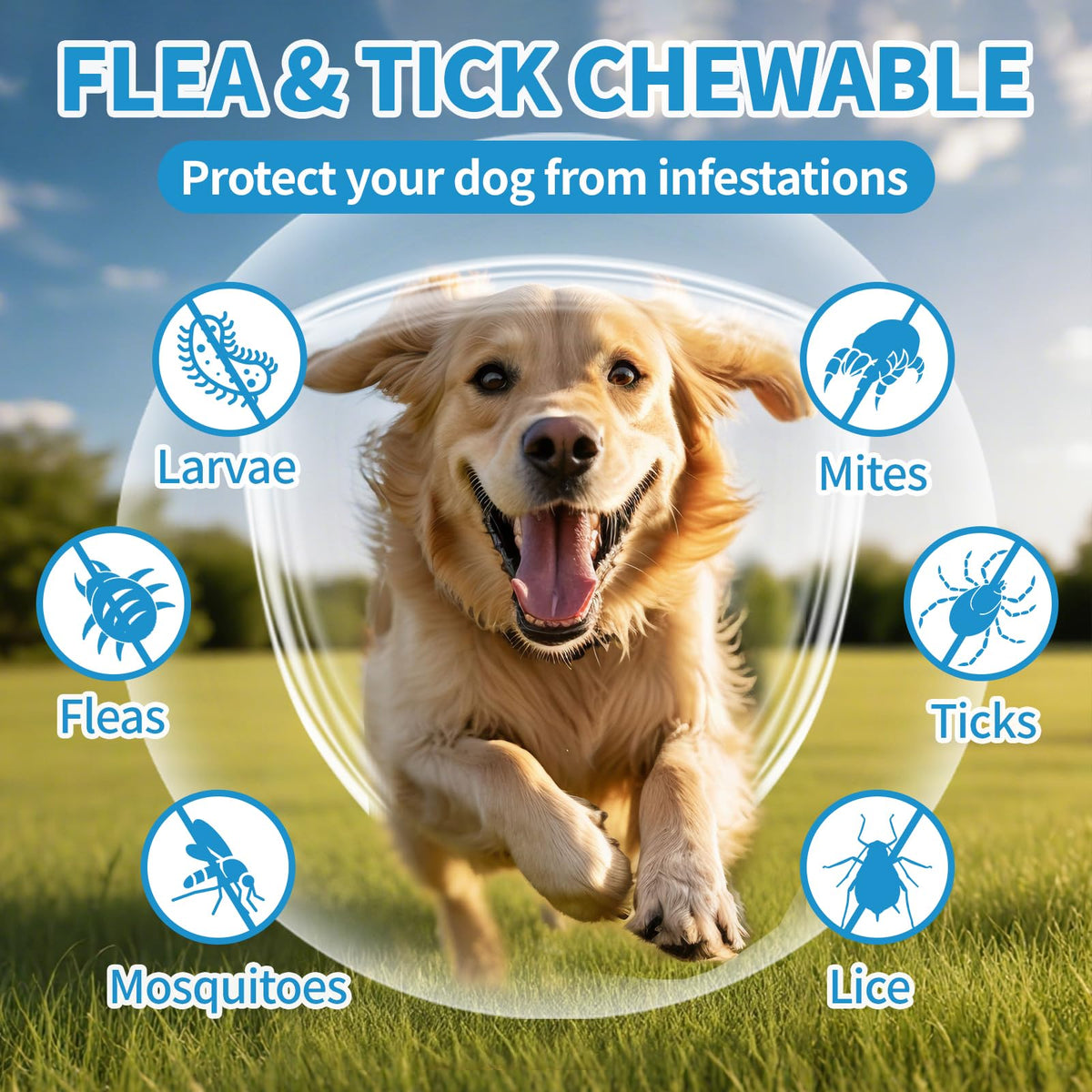 Flea and Tick Chewables 200Ct G633