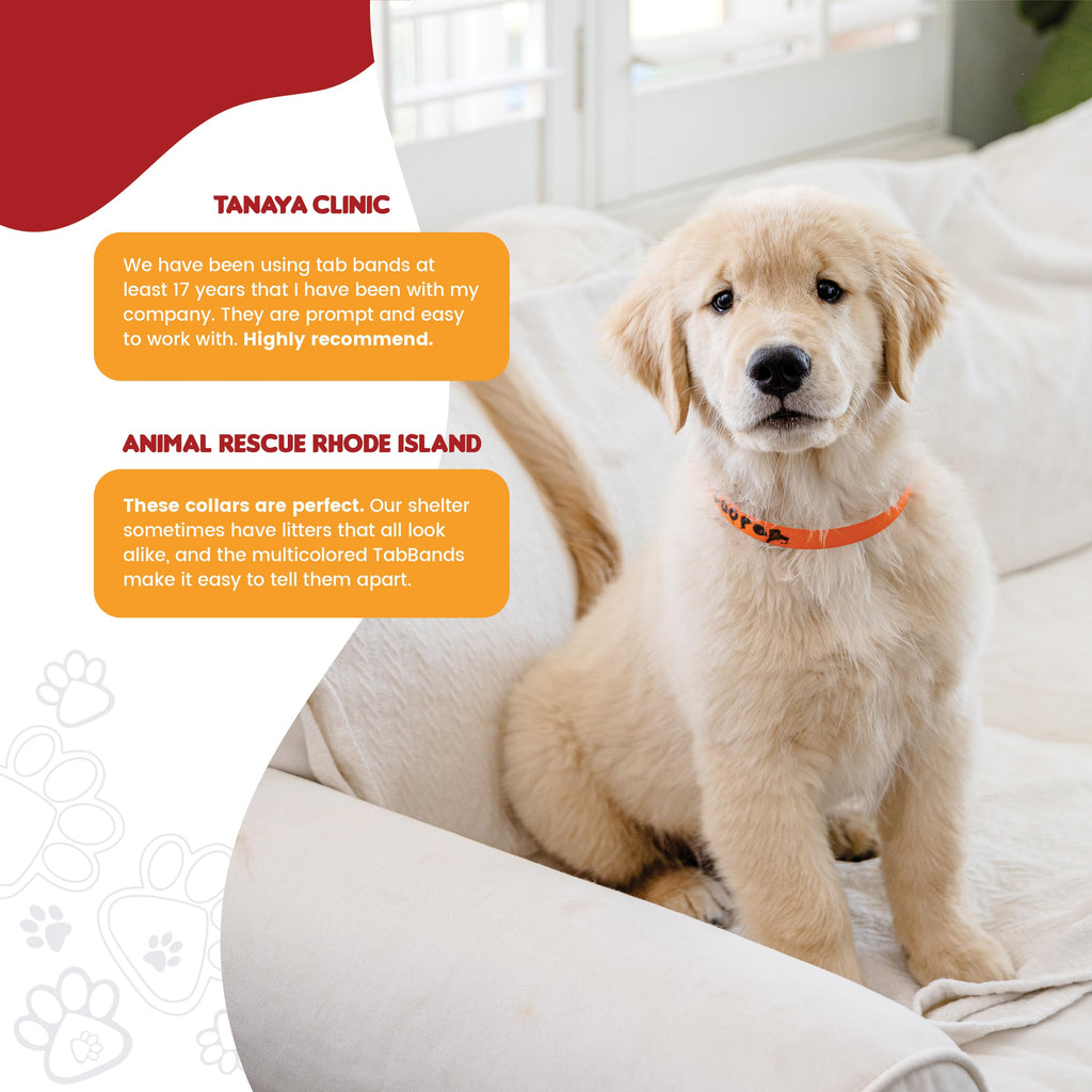 20 Inch 500 Count Waterproof Writable Tear-Resistant Pet ID Collars S562346