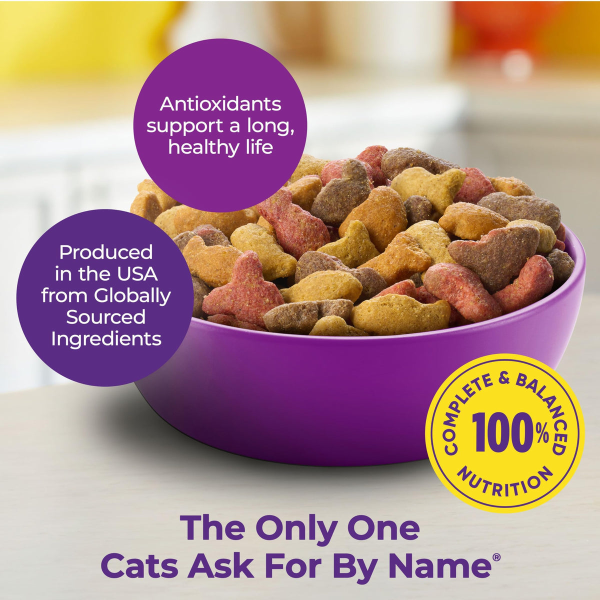Dry Cat Food 6.3 Pound Bag + Wet Cat Food Variety Pack 2.75 Ounce Cups D7747