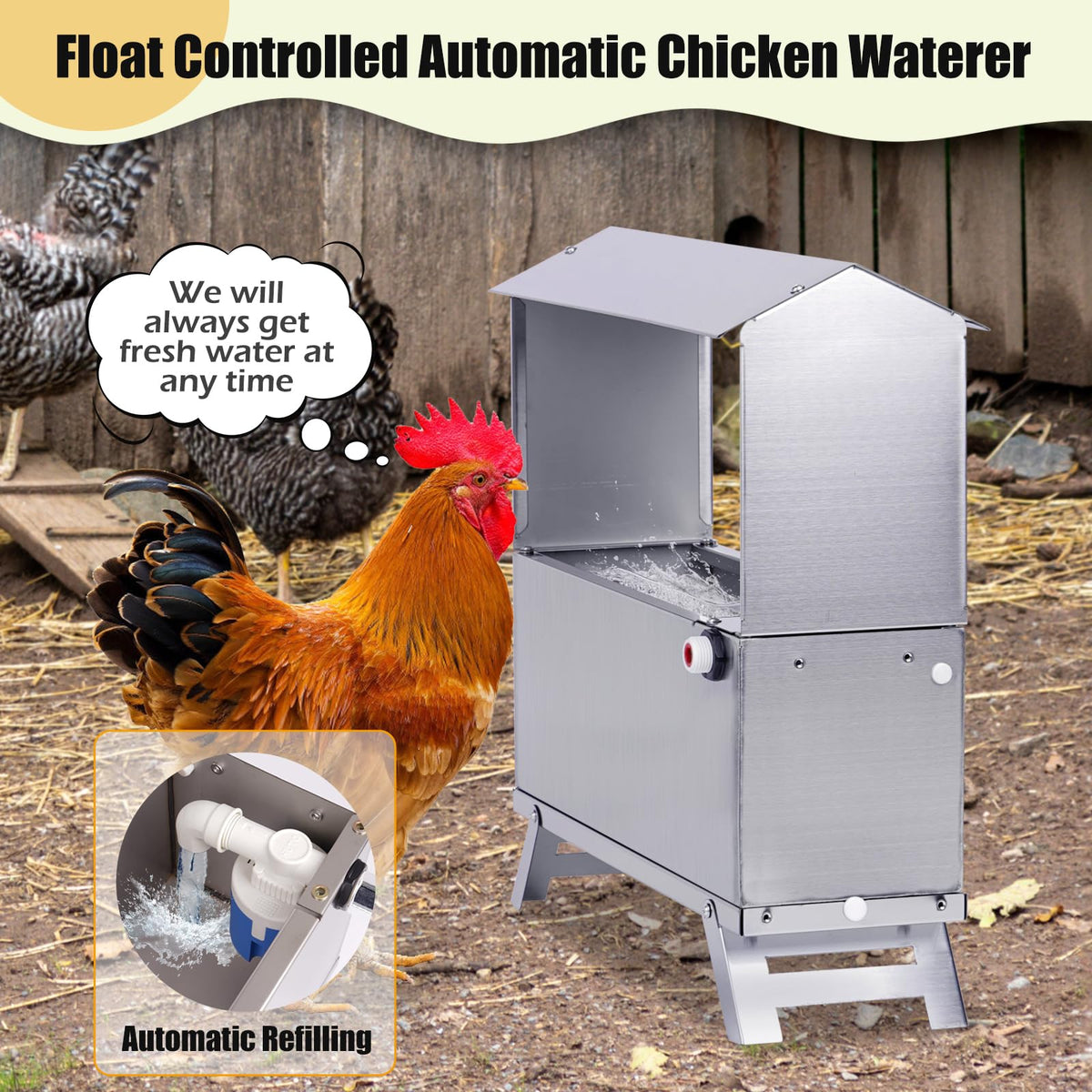 Stainless Steel Automatic Chicken Waterer E719