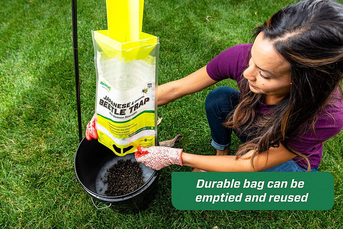 Japanese Beetle Trap P87271