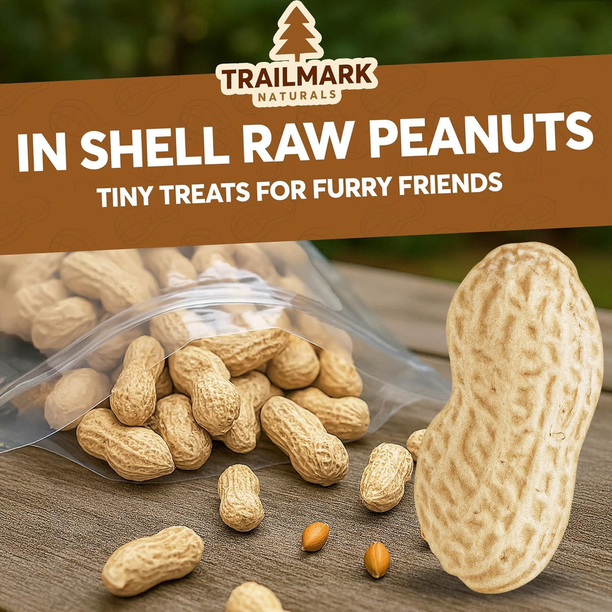 Raw Peanuts for Squirrels and Birds, 5 Pounds Total U45353