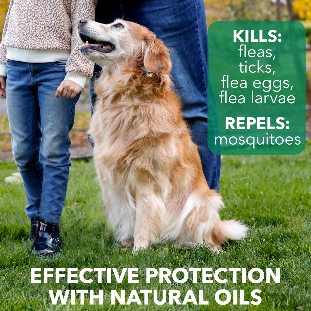 Flea & Tick Spray Treatment for Dogs with Cedarwood and Lemongrass Oil, 14 Ounces I863568